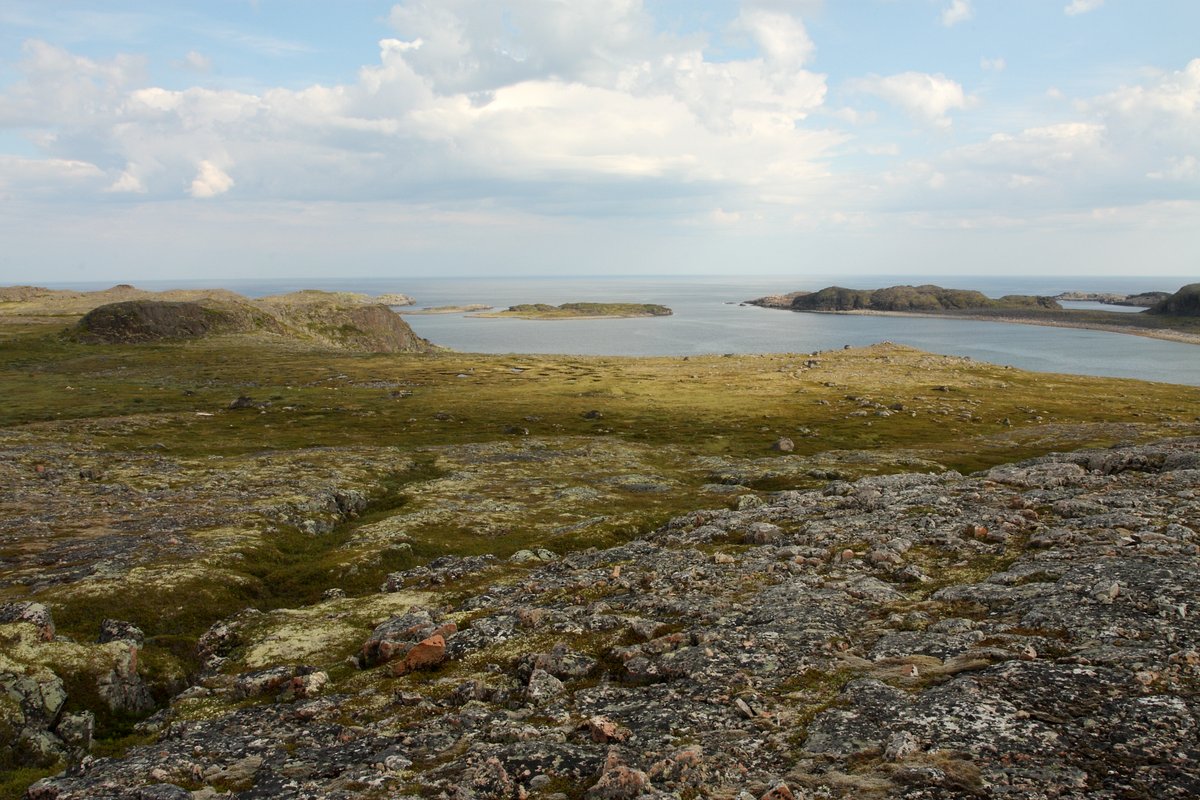 Дальние Зеленцы, image of landscape/habitat.