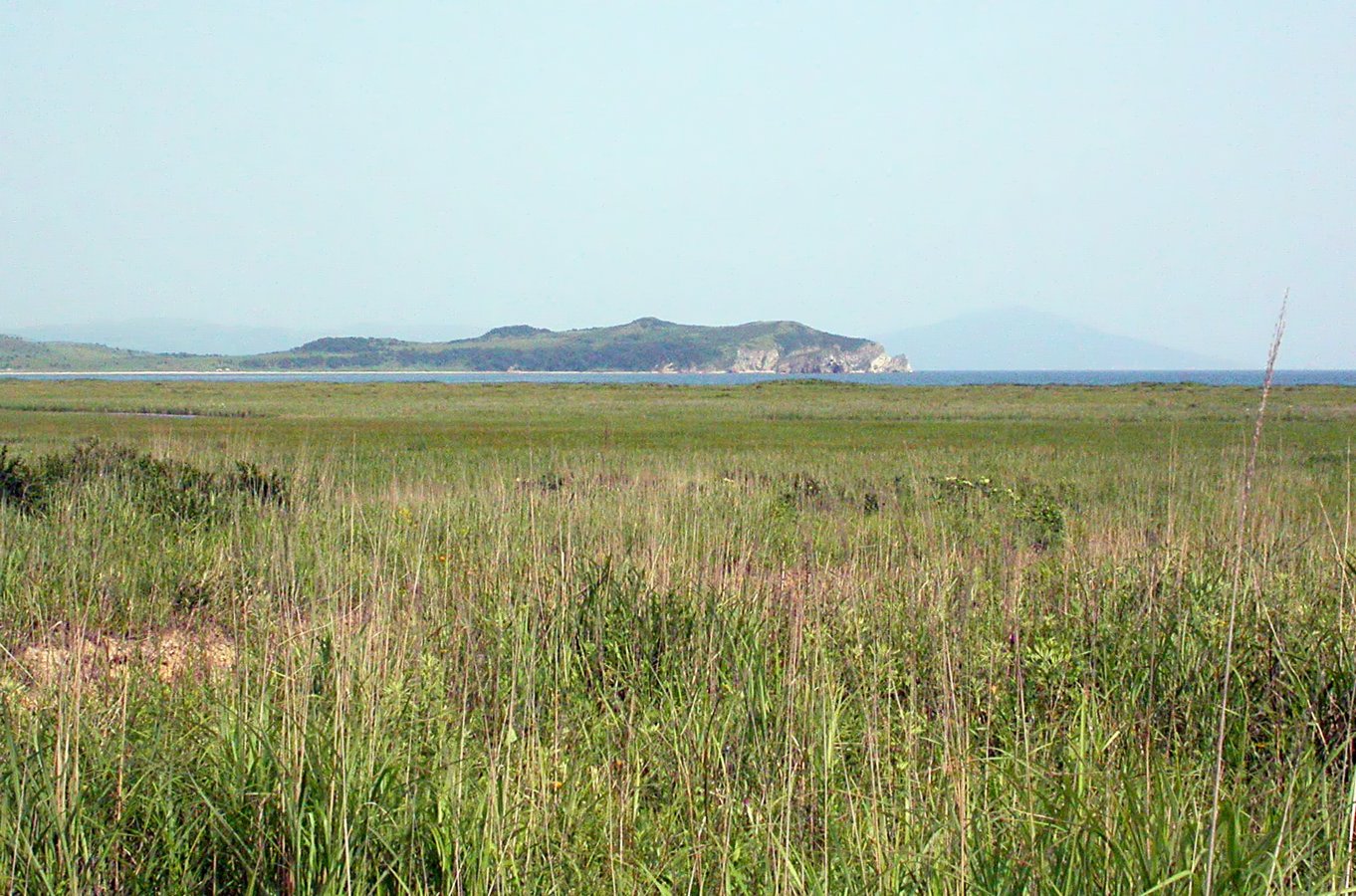 Полуостров Краббе, image of landscape/habitat.