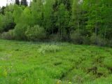 Image of landscape