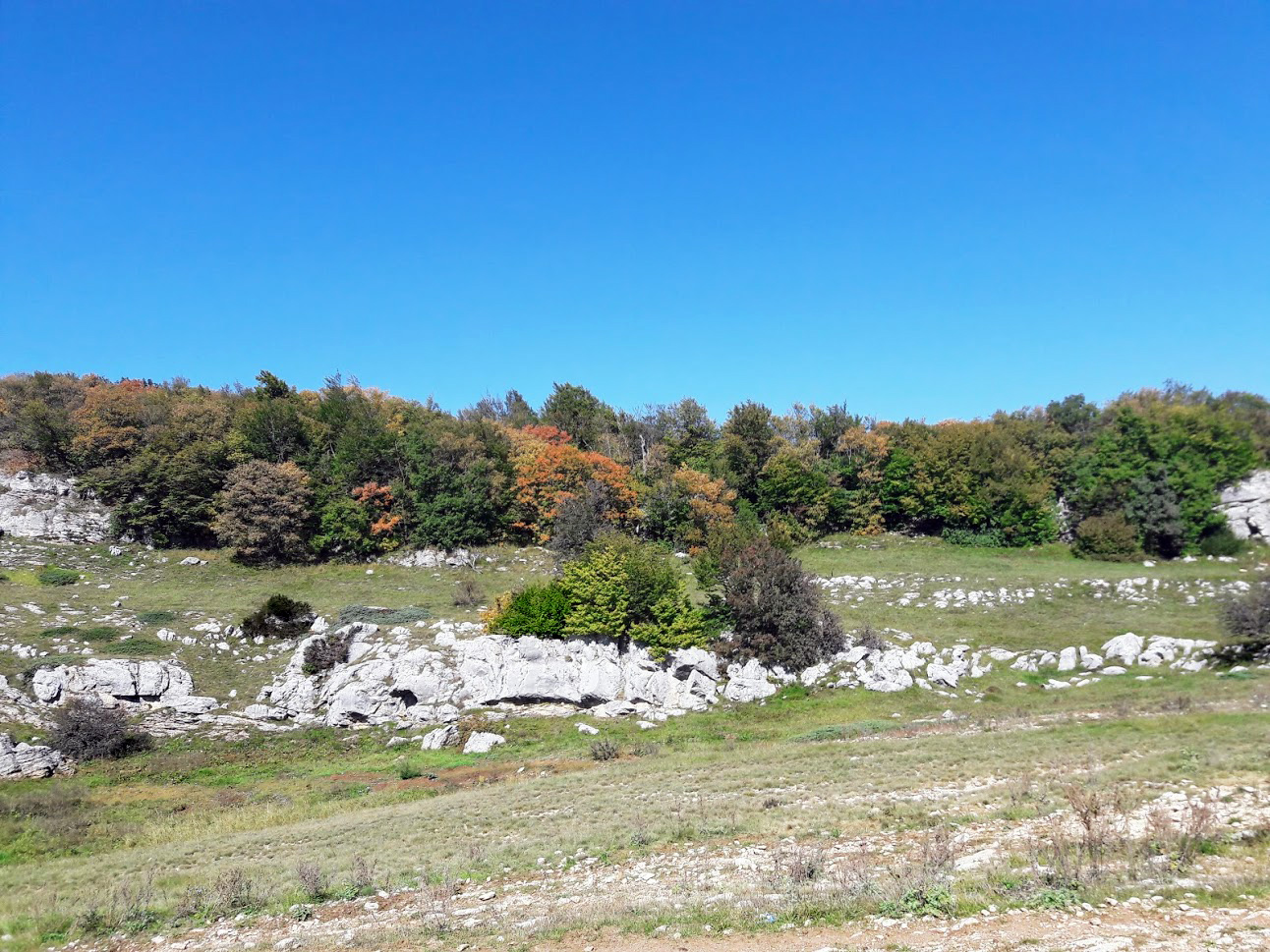 Ай-Петринская яйла, image of landscape/habitat.