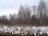 Соминка, image of landscape/habitat.