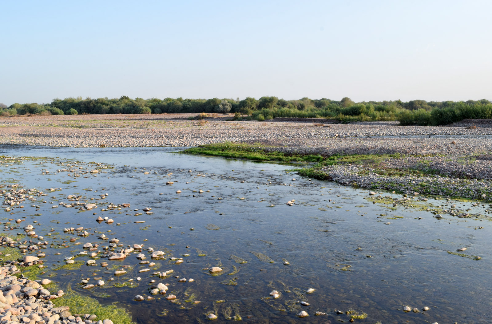 Окрестности кишлака Айбулак, image of landscape/habitat.