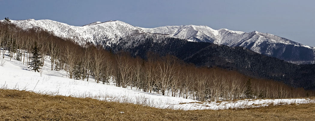 Сусунайский хребет, image of landscape/habitat.
