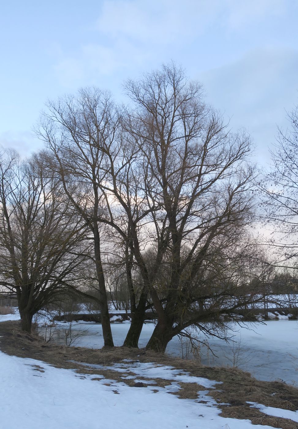 Ерденево, image of landscape/habitat.