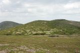 Плато полуострова Святой Нос, image of landscape/habitat.