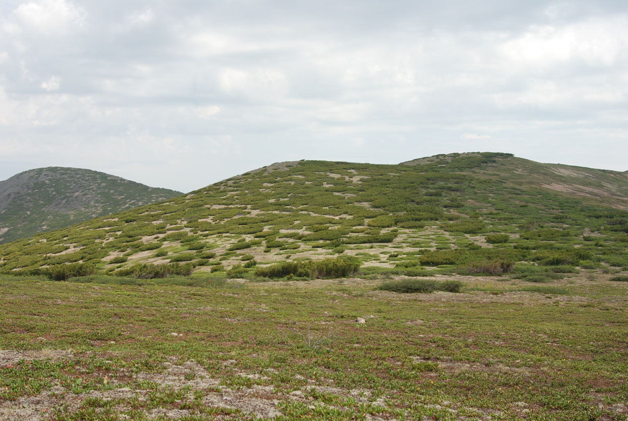 Плато полуострова Святой Нос, изображение ландшафта.