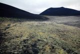 Image of landscape