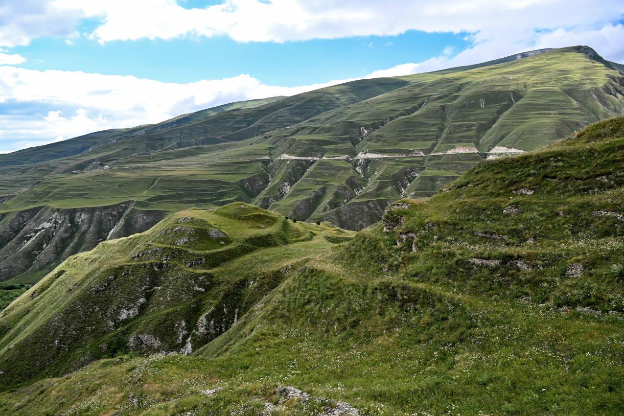 Хой, image of landscape/habitat.