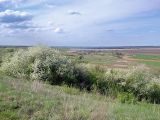 Аютинские склоны, image of landscape/habitat.