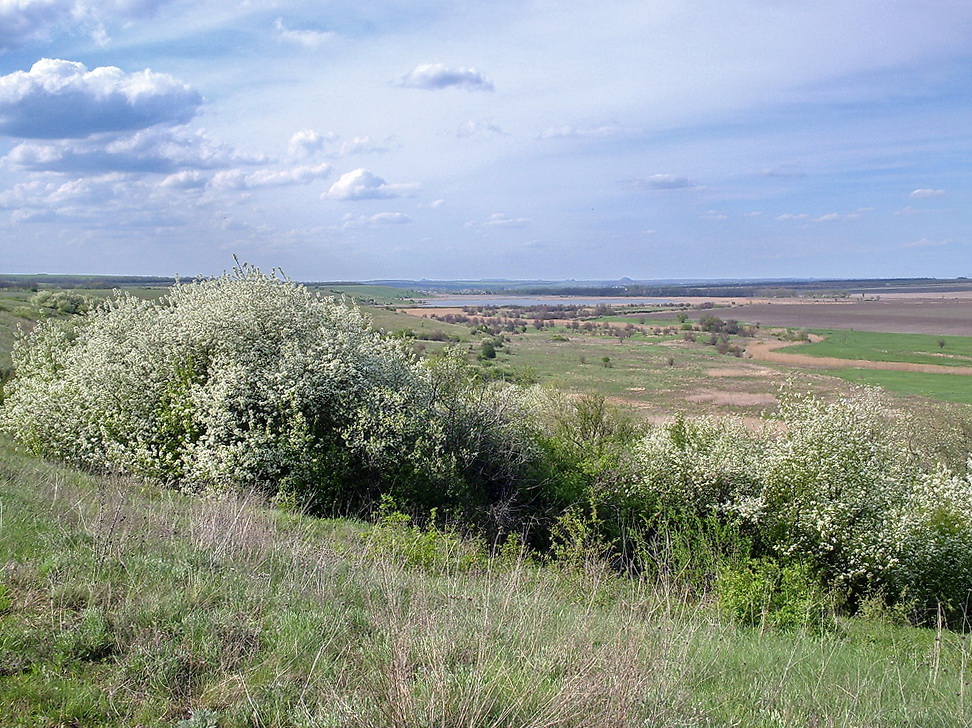Аютинские склоны, image of landscape/habitat.
