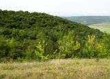 Image of landscape