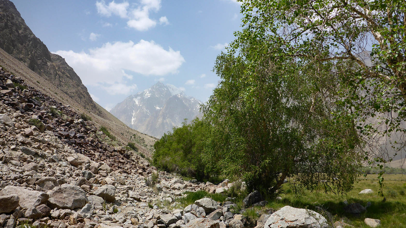 Ирхтский залив, image of landscape/habitat.