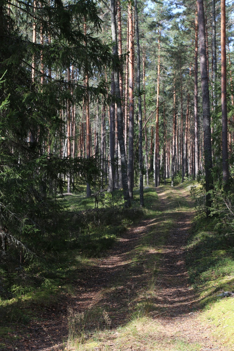 Сурмино, image of landscape/habitat.