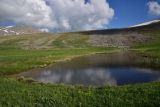 Гора Патара Абули, image of landscape/habitat.