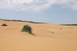 Изображение ландшафта