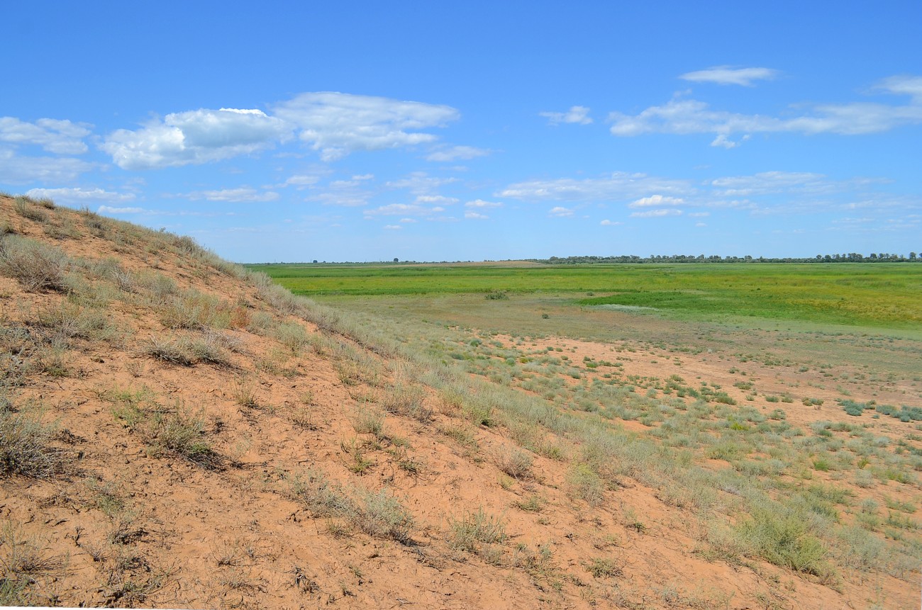 Ямное, image of landscape/habitat.