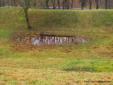 Image of landscape