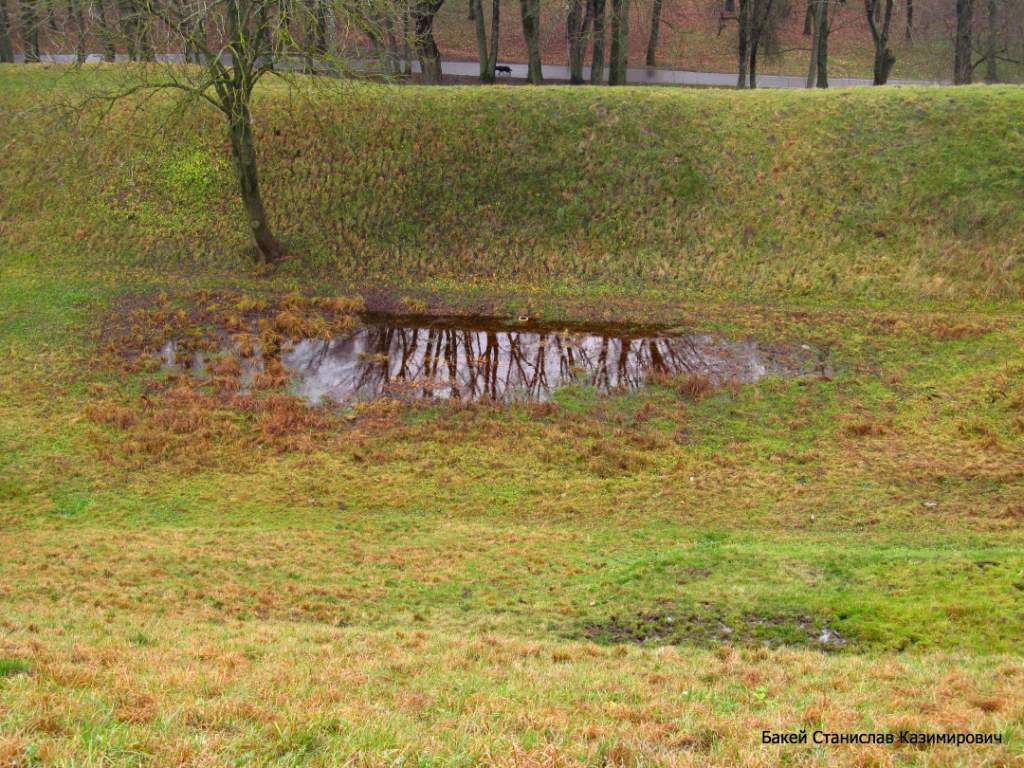 Новогрудский замок, image of landscape/habitat.