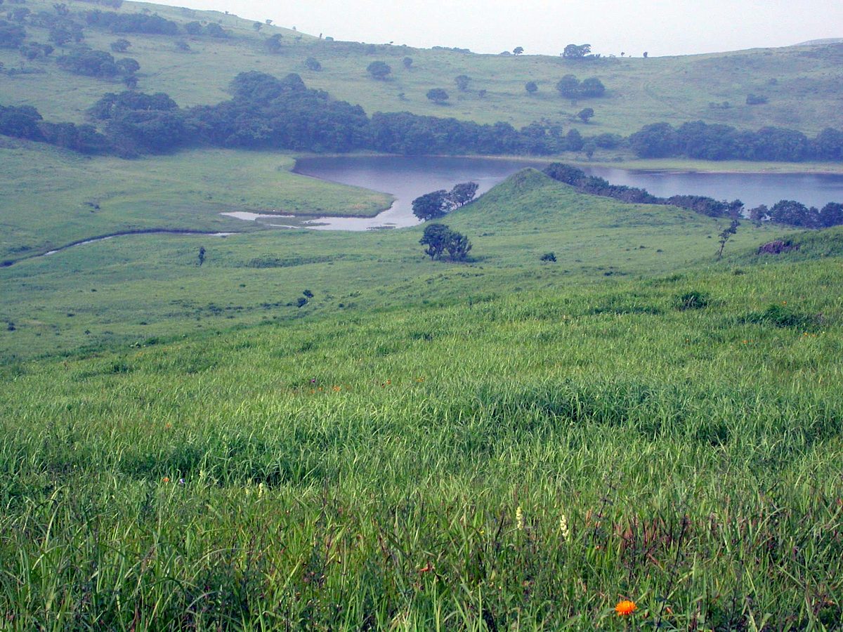 Полуостров Краббе, image of landscape/habitat.