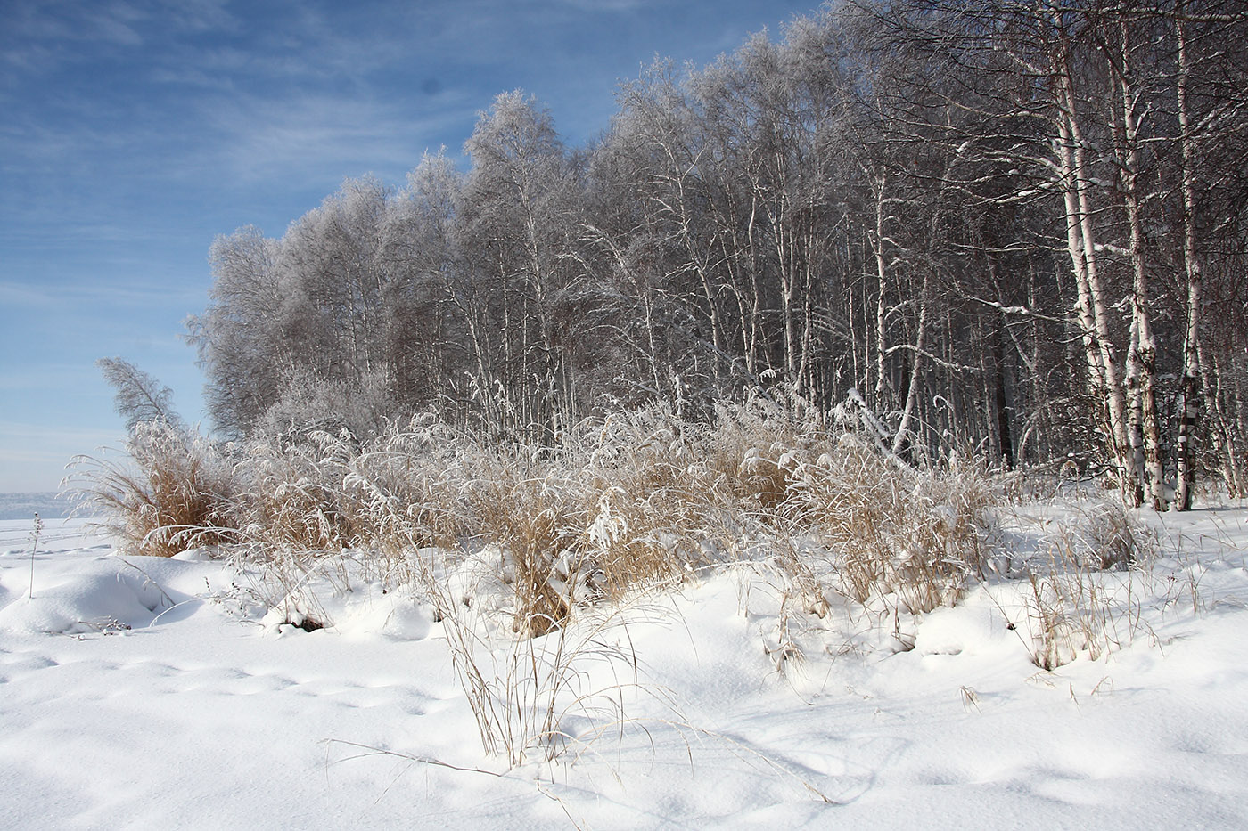 Политехник, image of landscape/habitat.