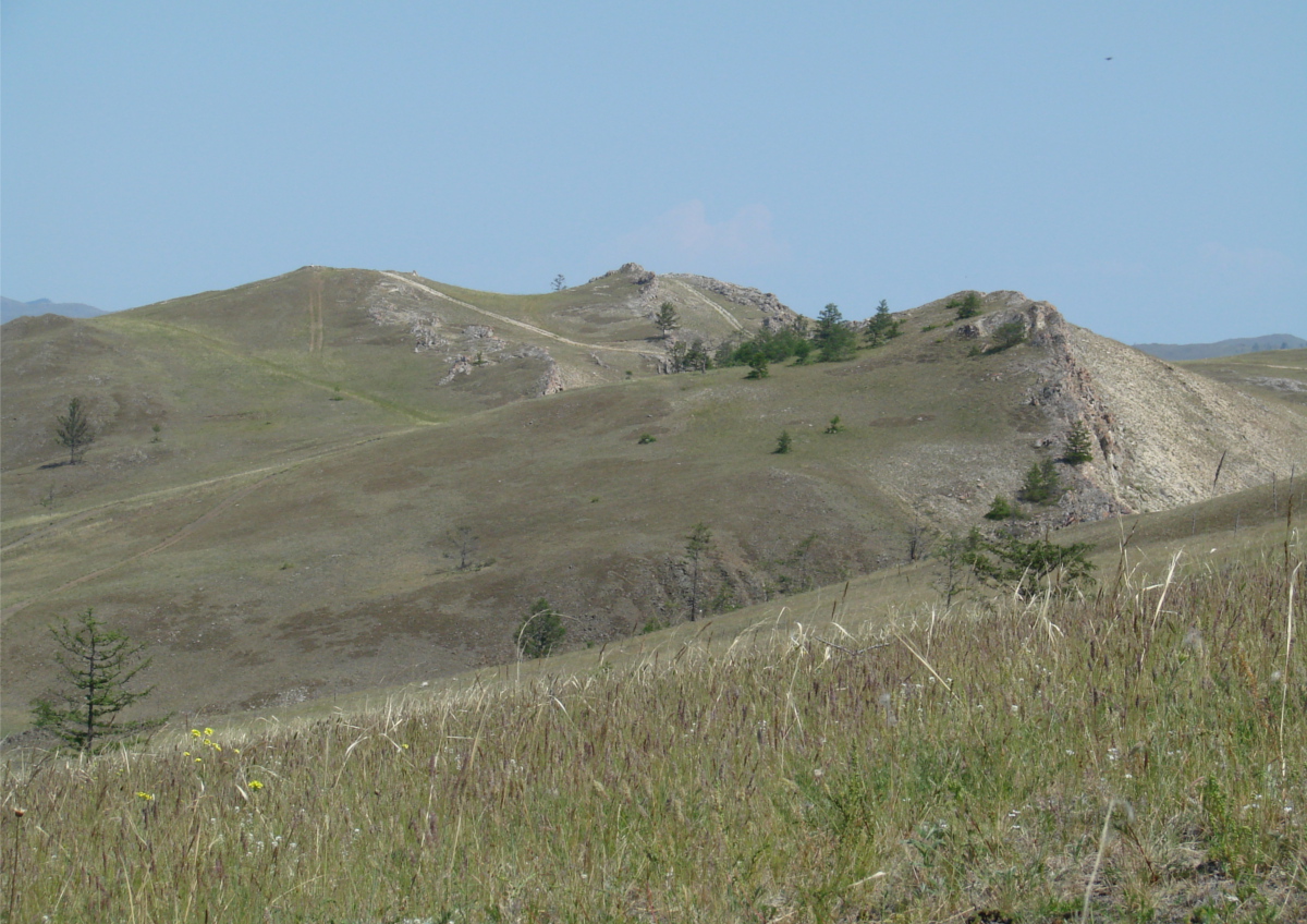 Тажеранская степь, image of landscape/habitat.