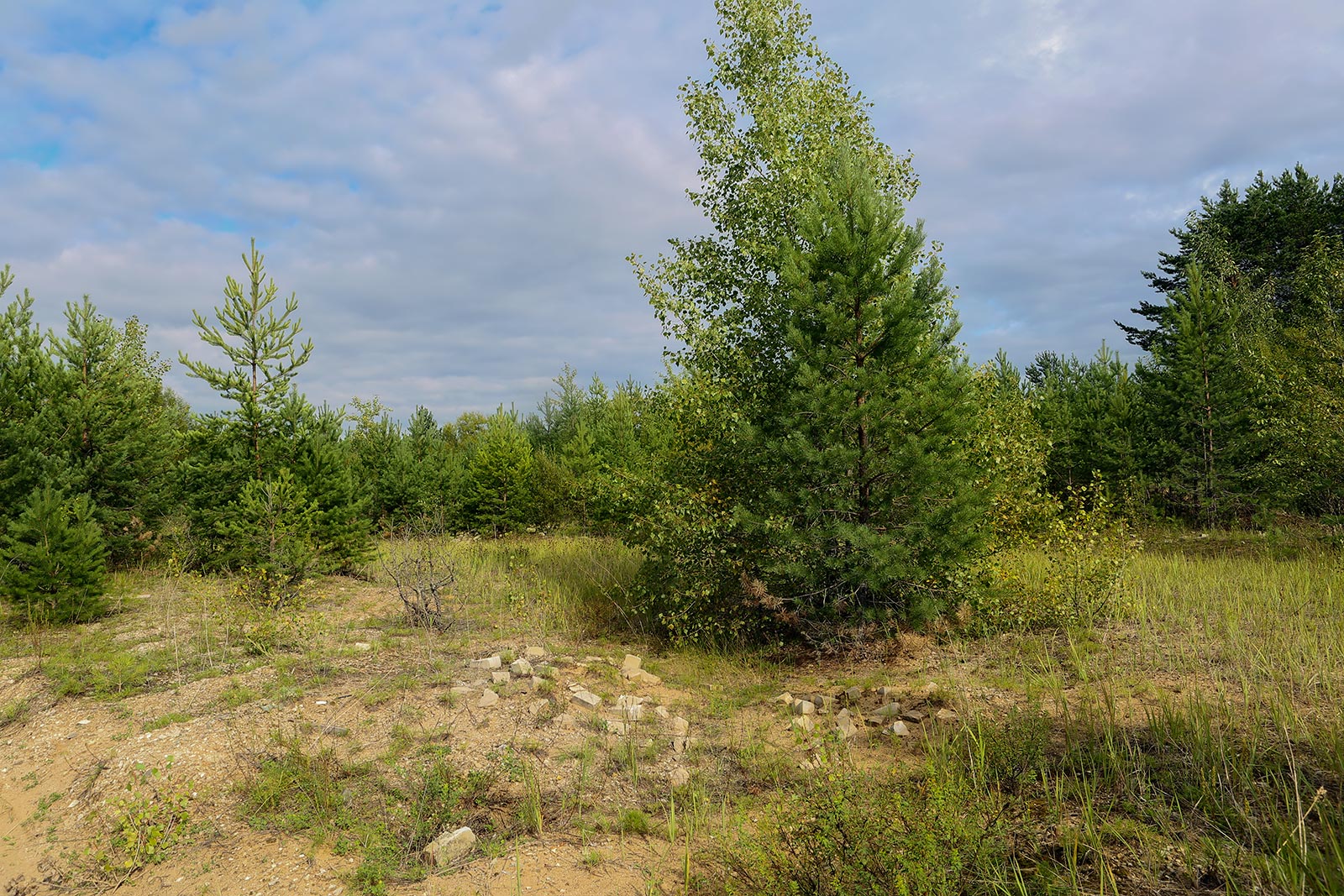 Песчаный карьер, image of landscape/habitat.