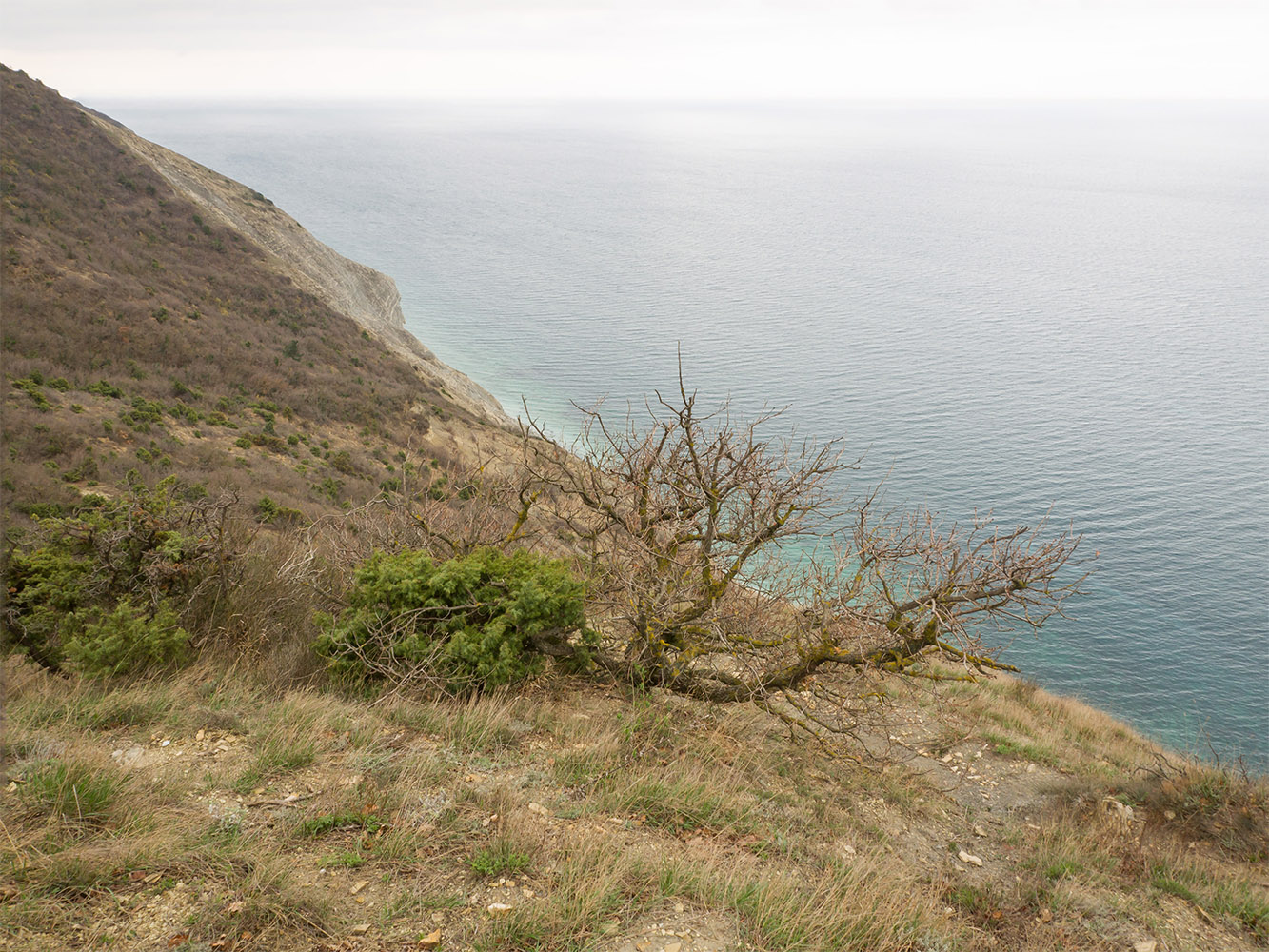 Супсех, image of landscape/habitat.