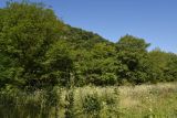 Image of landscape