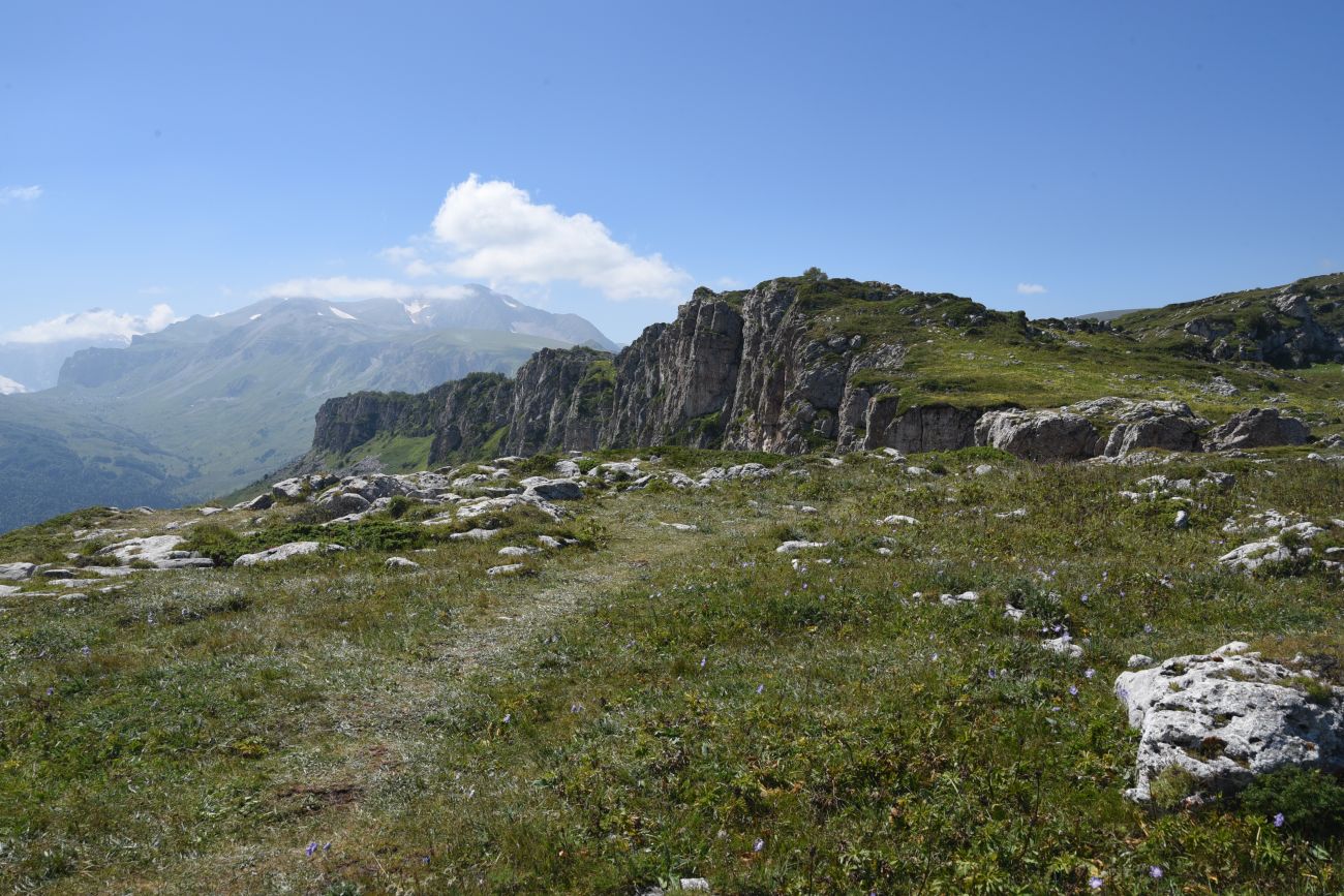 Окрестности горы Нагай-Кош, image of landscape/habitat.