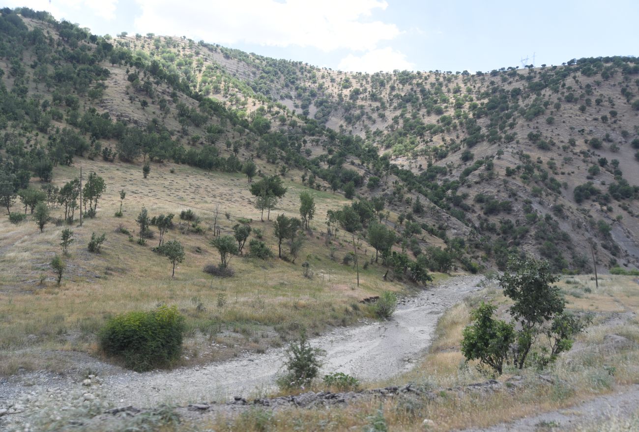 Шеноба, image of landscape/habitat.