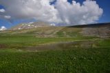 Гора Патара Абули, image of landscape/habitat.