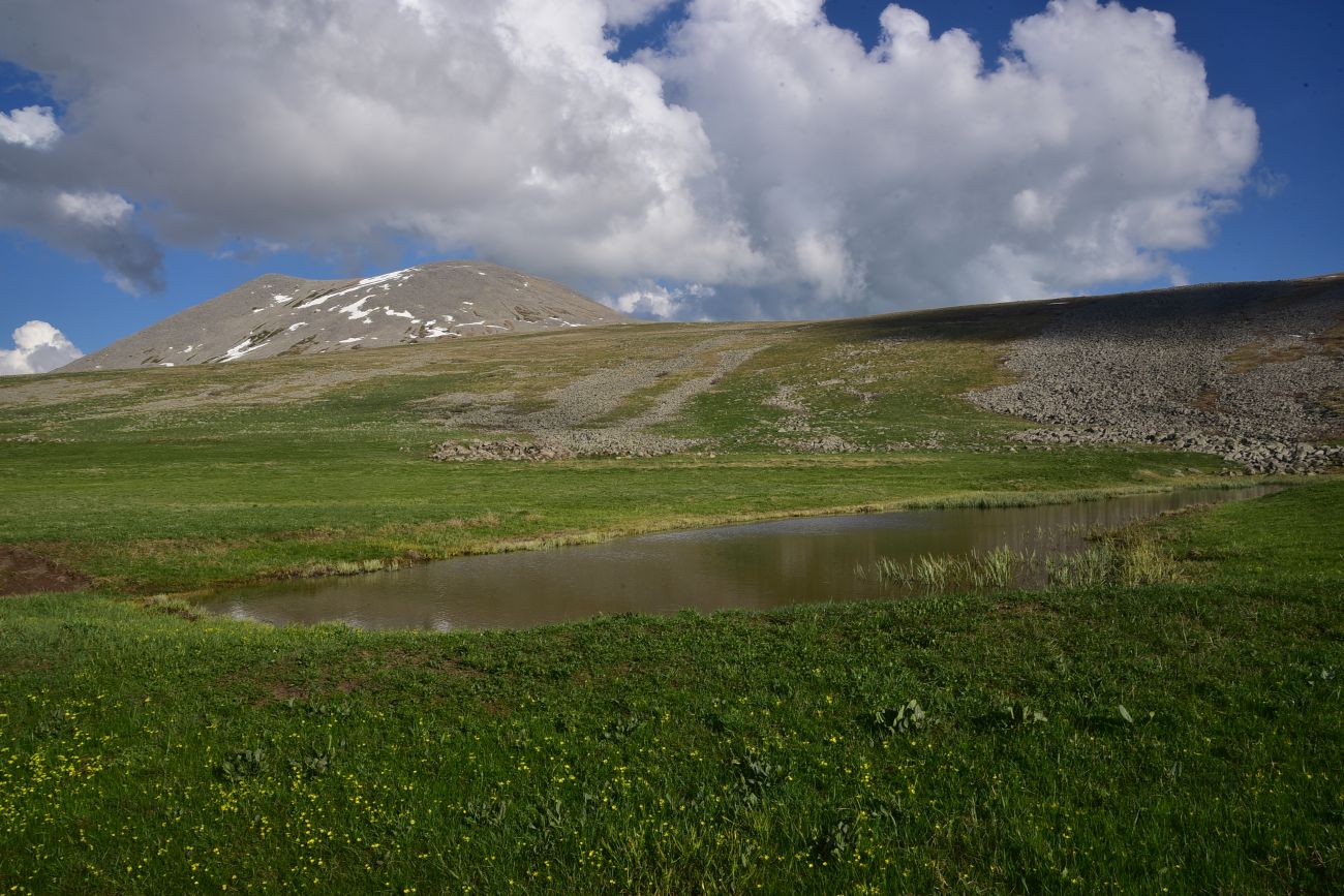 Гора Патара Абули, image of landscape/habitat.