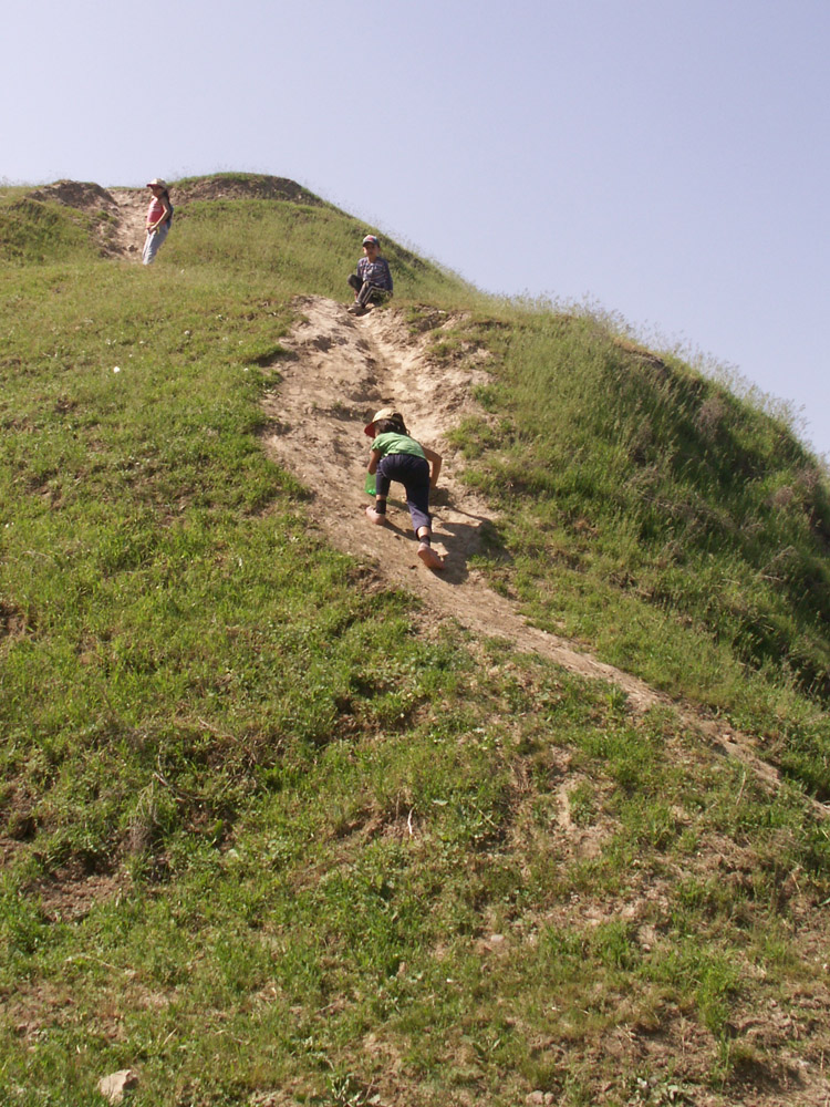 Актепа Юнусабадская, image of landscape/habitat.