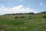 Ерёмкин лог, image of landscape/habitat.
