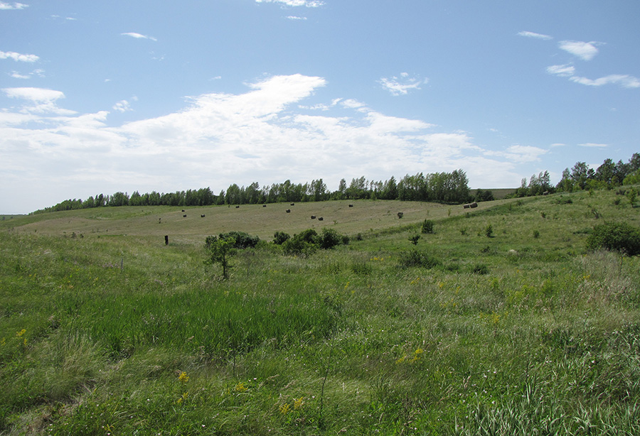 Ерёмкин лог, image of landscape/habitat.