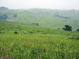 Image of landscape