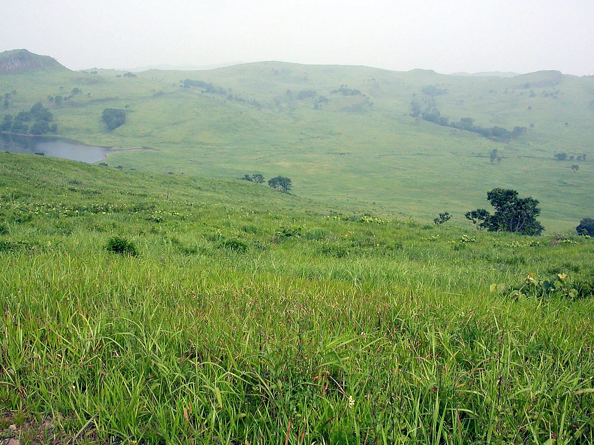 Полуостров Краббе, image of landscape/habitat.