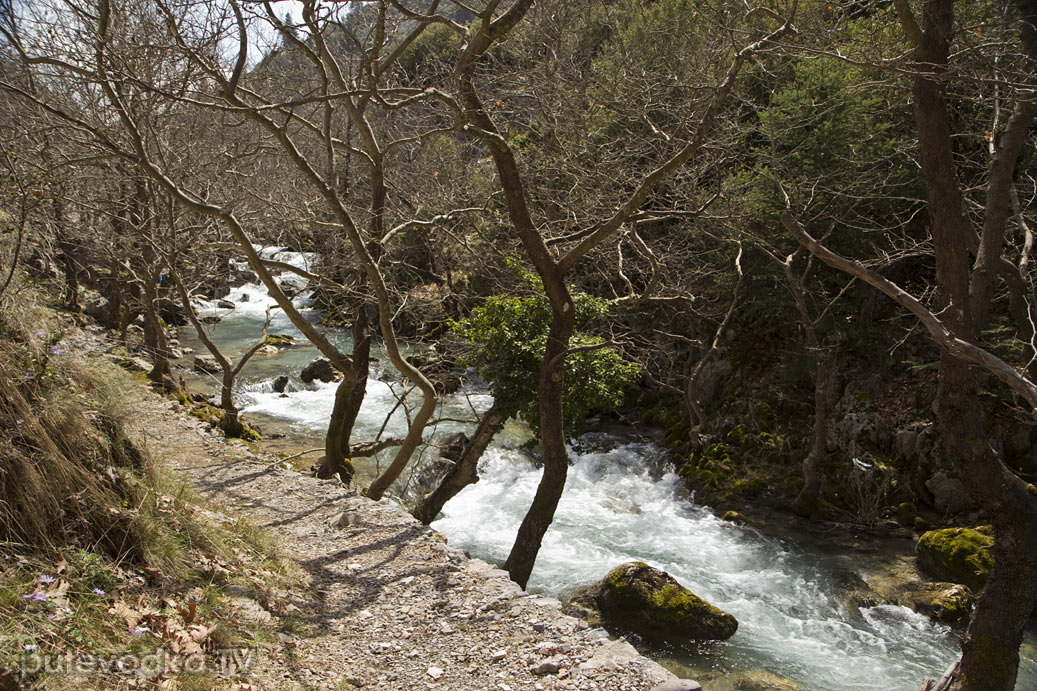Витина и окрестности, image of landscape/habitat.