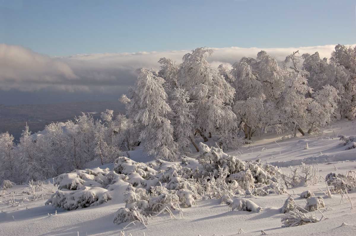 Большой Шатак, image of landscape/habitat.