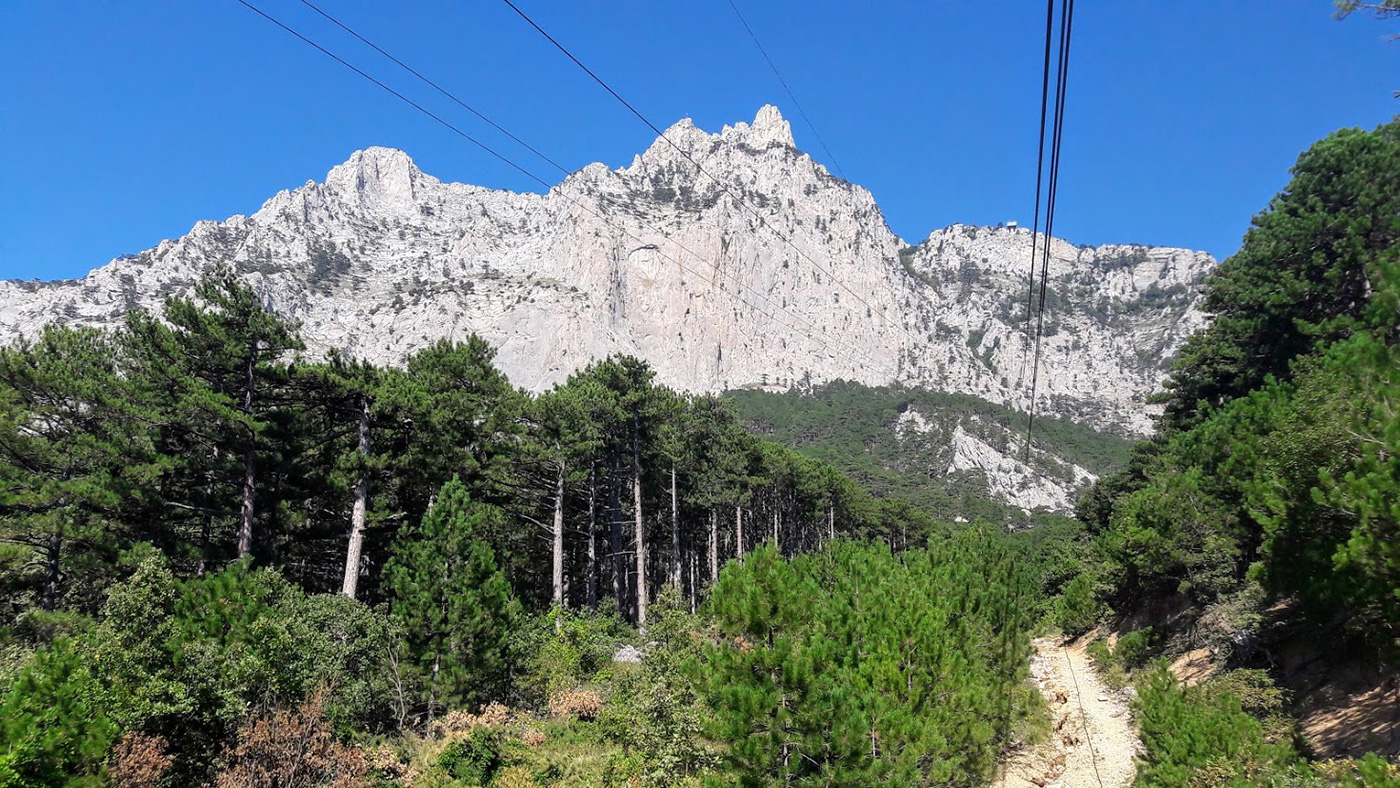 Ай-Петринская яйла, image of landscape/habitat.