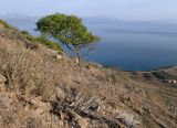 Image of landscape