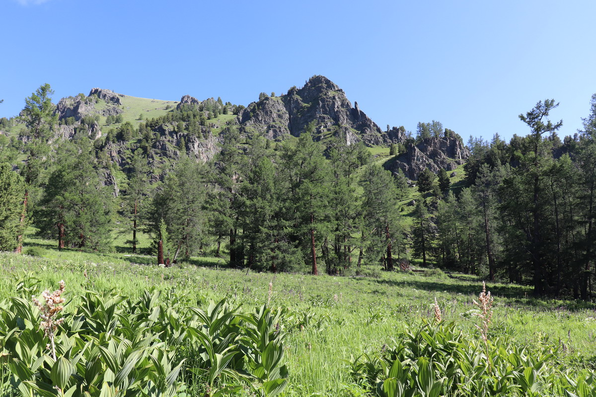 Гора Михайловка, image of landscape/habitat.