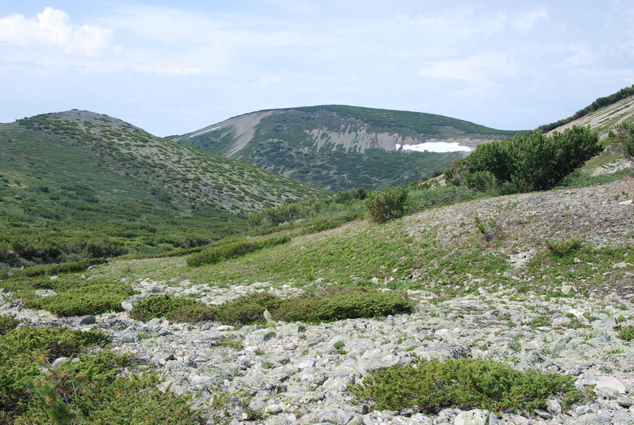 Плато полуострова Святой Нос, изображение ландшафта.