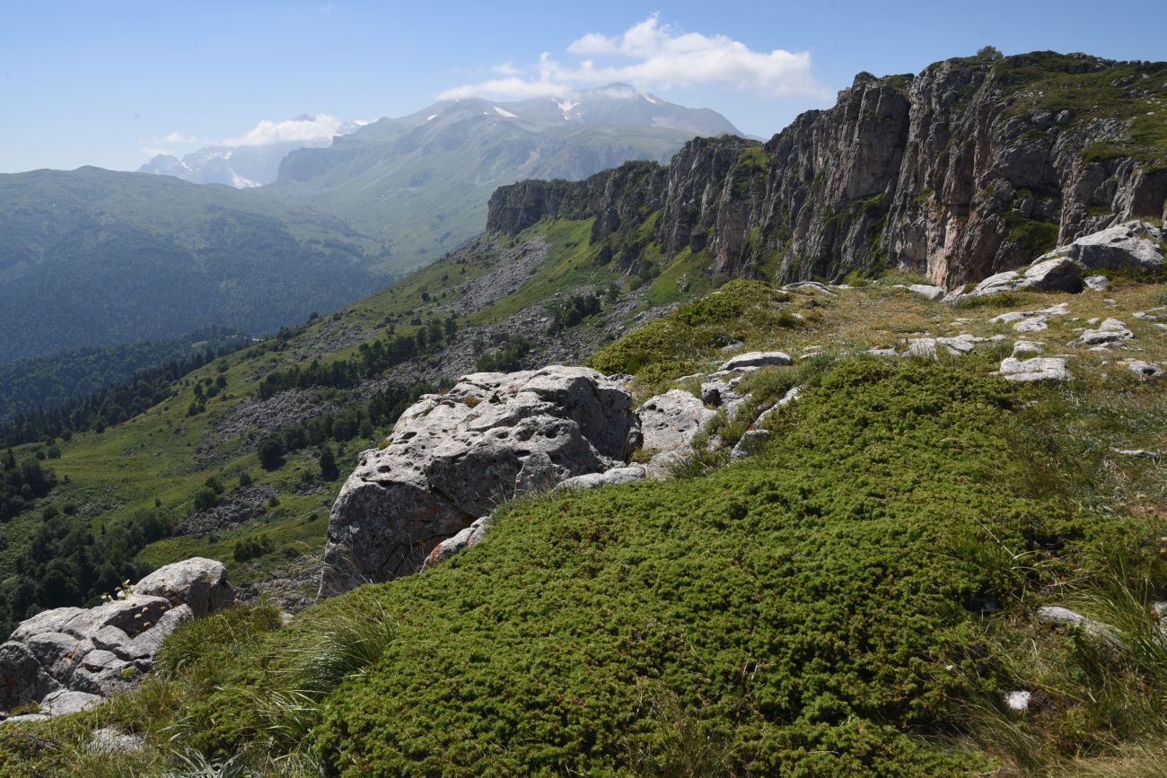 Окрестности горы Нагай-Кош, image of landscape/habitat.