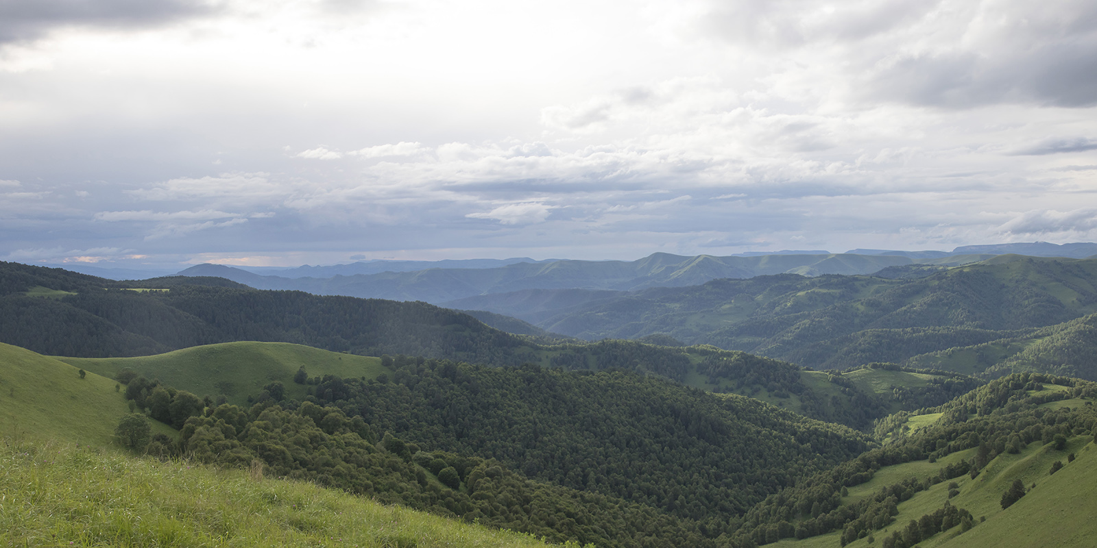 Верховья реки Экиара, image of landscape/habitat.