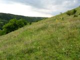 Image of landscape