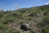 Image of landscape