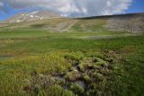 Гора Патара Абули, image of landscape/habitat.