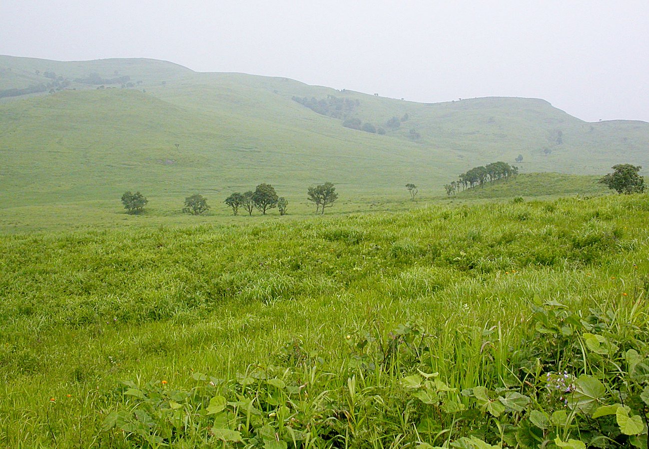 Полуостров Краббе, image of landscape/habitat.