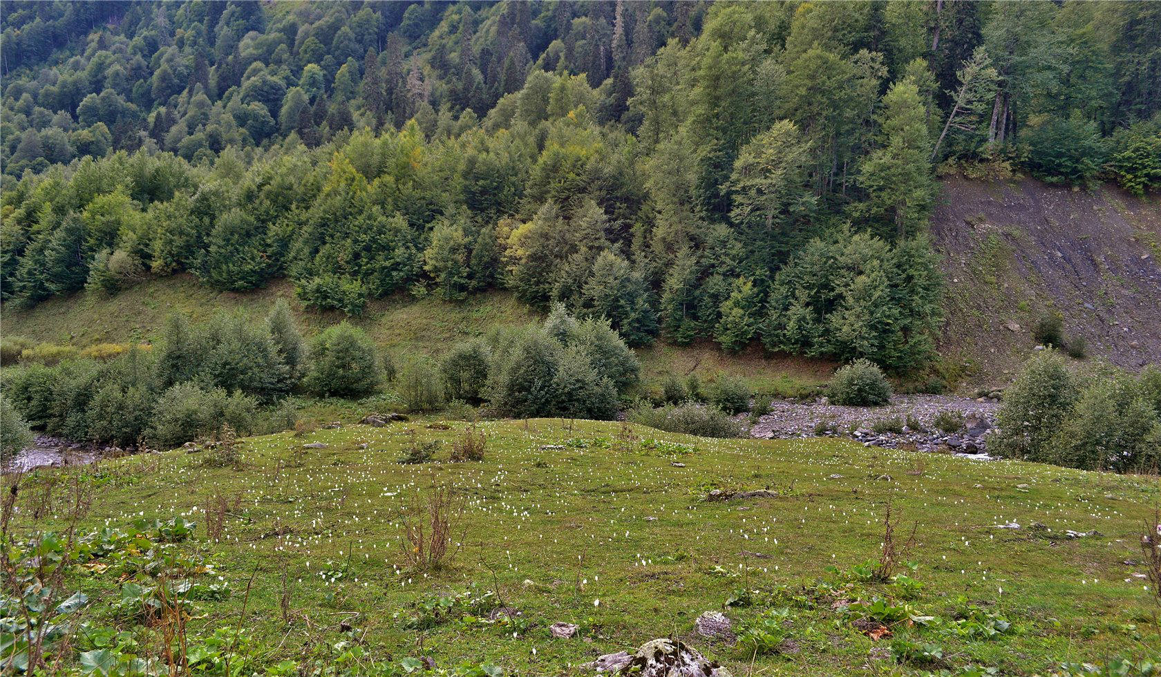 Авадхара (Ауадхара), image of landscape/habitat.